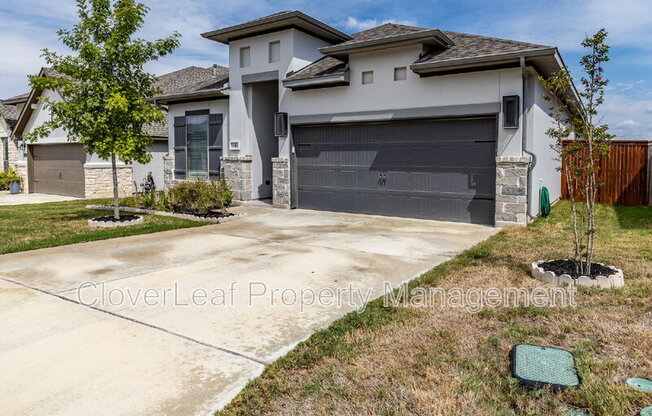 1149 CADOGAN SQUIRE