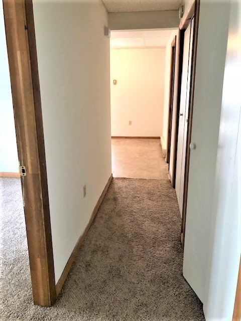 2 beds, 1 bath, 835 sqft, $1,100