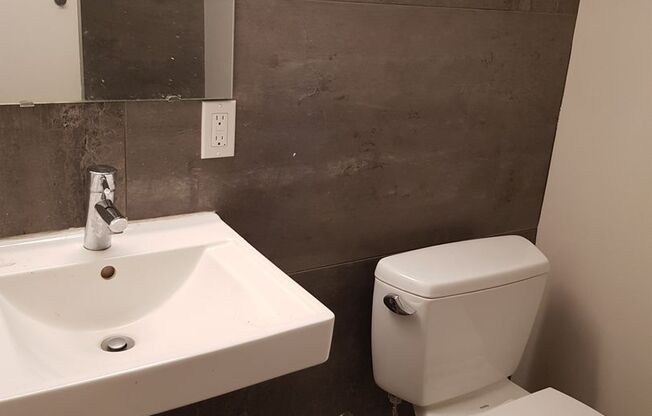 Studio, 1 bath, 244 sqft, $1,495, Unit 113 - Furnished