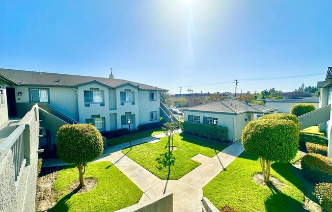 Nelson Apartments (Silver Tree Terrace)