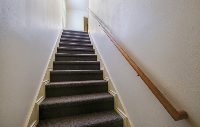 Prime Alamo Heights Second Story Duplex