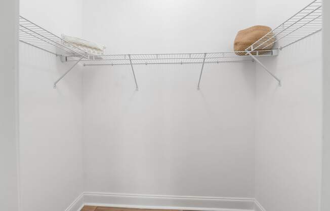 Walk-in Closet with Shelving