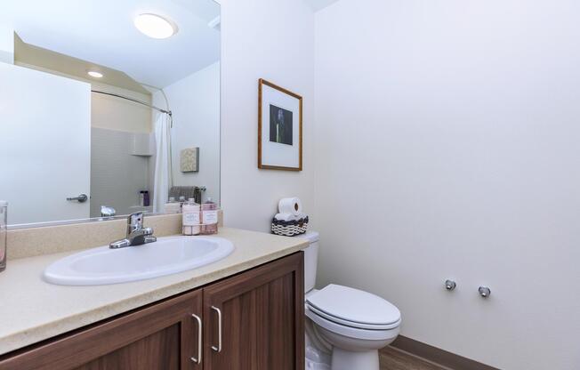 Bathroom with wooden cabinets