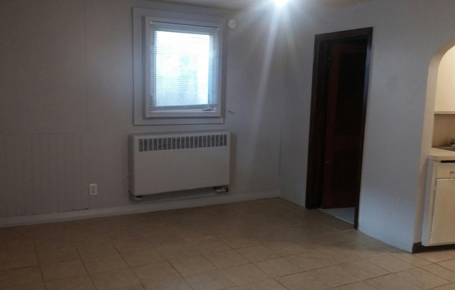 Studio, 1 bath, 400 sqft, $550, Unit 1