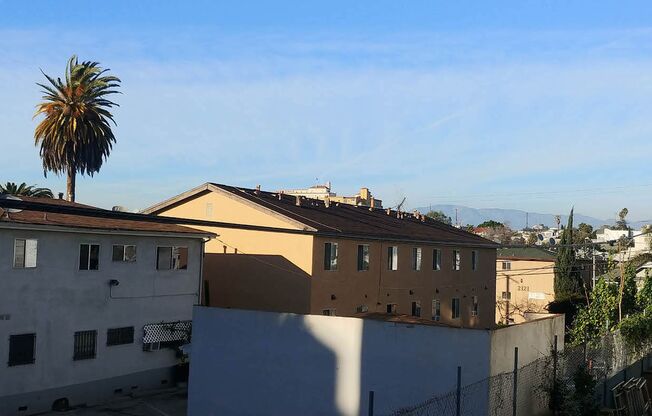 1 bed, 1 bath, 650 sqft, $1,995, Unit 207