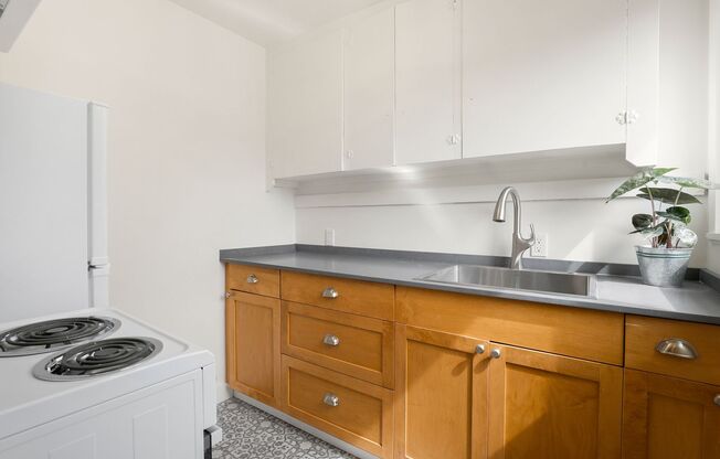 Studio, 1 bath, 310 sqft, $1,350, Unit Unit 7