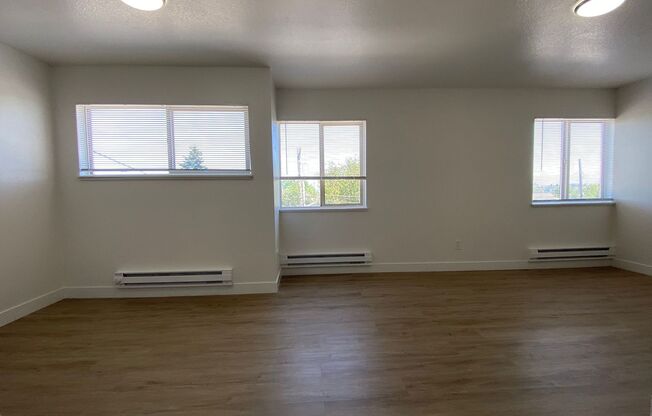 Studio, 1 bath, 405 sqft, $995, Unit Unit 310