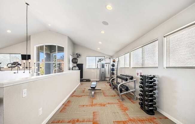 A gym with a row of dumbbells on the right.