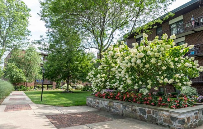 Landsaping in the quincy commons courtyard