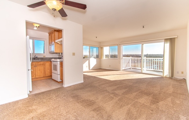 4015 Crown Pt. Drive #P1