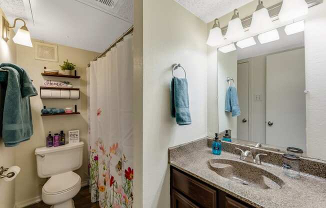 a bathroom with a sink and a toilet and a mirror