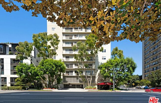 2 beds, 2 baths, 1,019 sqft, $3,900, Unit 1002