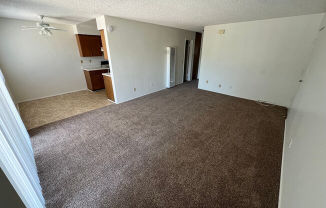 2 beds, 1 bath, $1,695