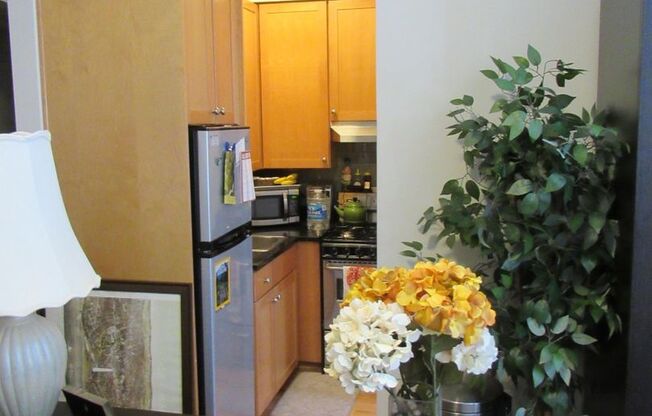 Studio, 1 bath, 407 sqft, $1,895, Unit H405