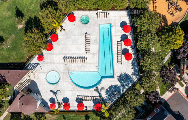An aerial view of a pool surrounded by red flowers.