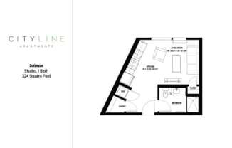 Partner-provided photo for $1110 unit