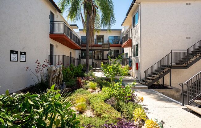 A courtyard with a staircase and plants.