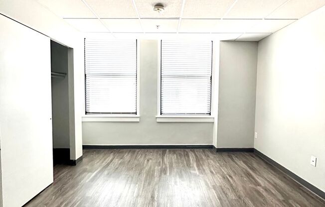 Studio, 1 bath, 250 sqft, $1,395, Unit 0301