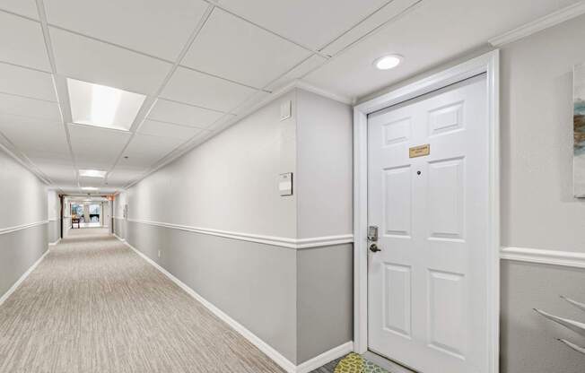 A hallway with a white door and a green rug on the floor at Hampton Apartments, Florida