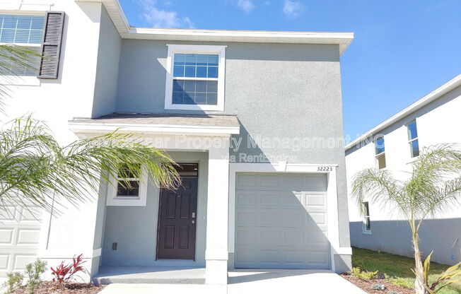 32223 TURTLE GRACE LOOP