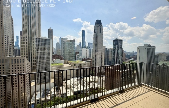 100 E Bellevue Pl, Chicago IL 12F