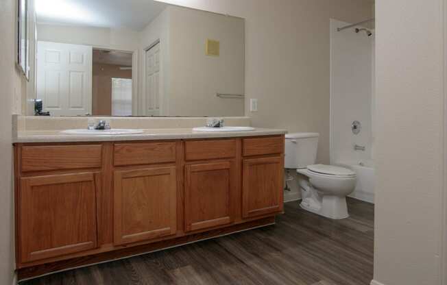 a bathroom with a toilet and a sink and a mirror