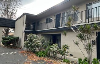 Homestead Apartments