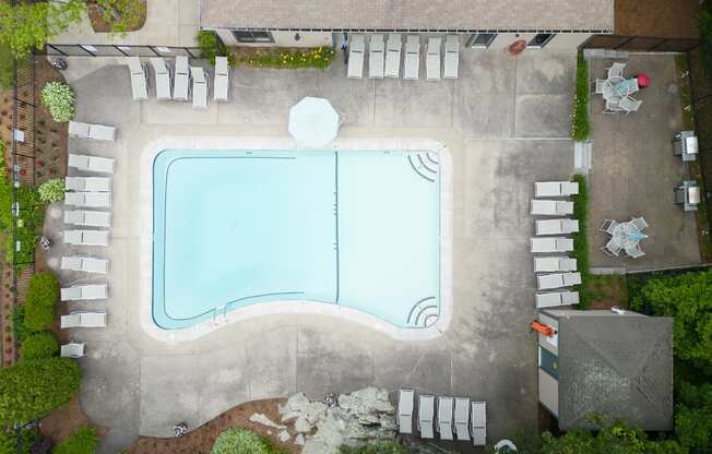 aerial view of a swimming pool with lounge chairs and plants around it