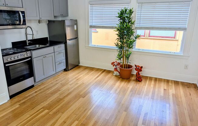 Studio, 1 bath, 308 sqft, $1,099, Unit 32