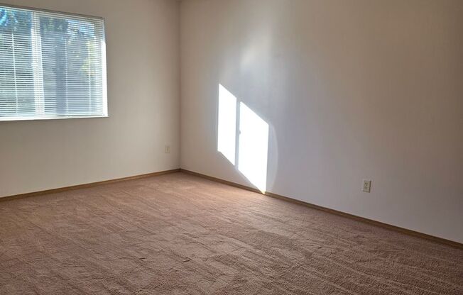 2 beds, 1 bath, 1,010 sqft, $1,279, Unit PL   2205