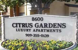 Citrus Gardens Apartments