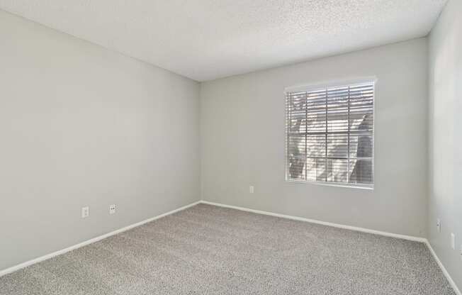 A room with a carpeted floor and a window with blinds.