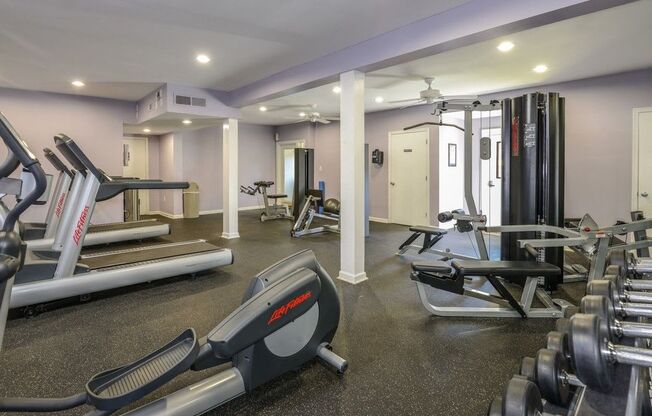 Fitness Center With Modern Equipment at The Summit at Avent Ferry, Raleigh, 27606