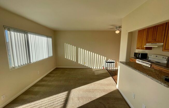 Upgraded Studio Clairemont Mesa - 50% Off First Months Rent Promotion