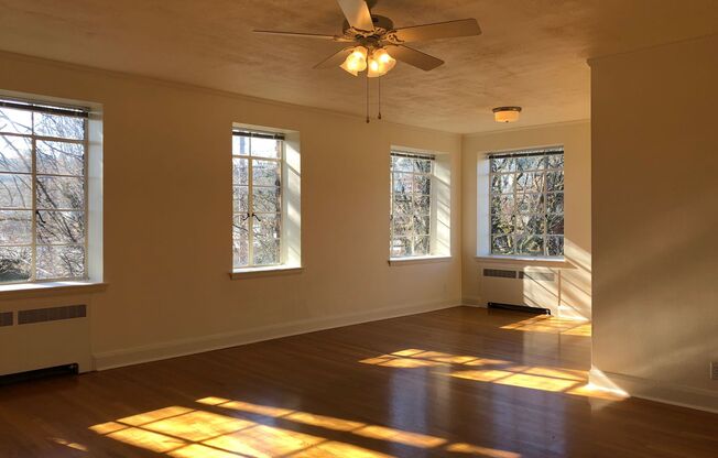 REGENT APARTMENTS (REG01)