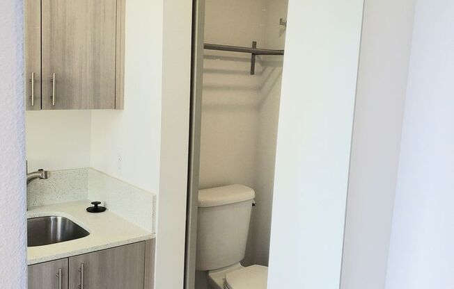 Studio, 1 bath, 167 sqft, $1,049, Unit D310