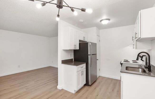 1 bed, 1 bath, 500 sqft, $1,295