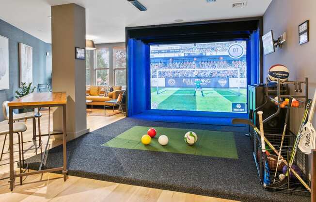 a game room with a large screen tv and balls on a rug