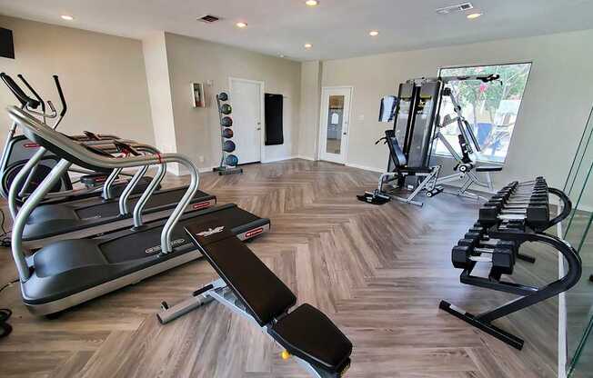 Gym equipment at GEORGETOWN PARK, Texas, 78628