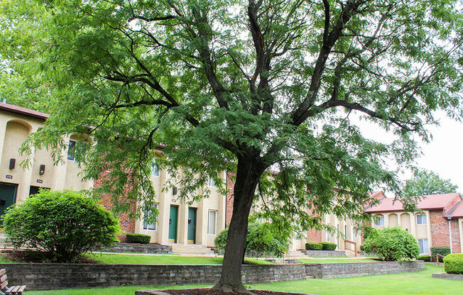 a large tree in a grassy area in front of a building