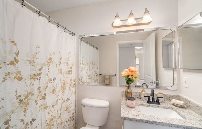 a bathroom with a toilet and a sink and a mirror