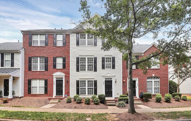 12847 Bullock Greenway Blvd Ballantyne area