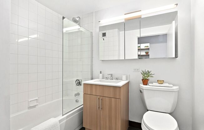 Studio, 1 bath, $3,387, Unit 17G