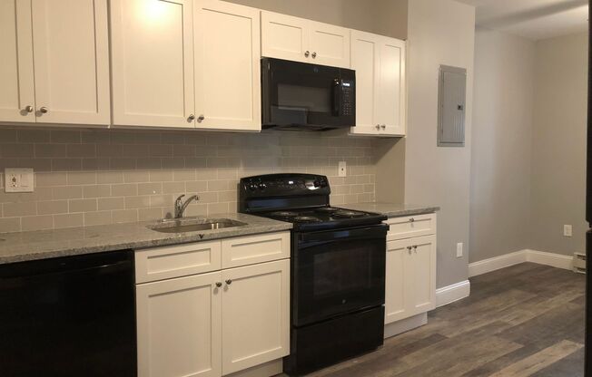 1 bed, 1 bath, $1,025, Unit Apt 1