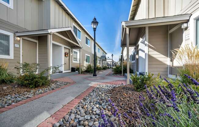 A row of houses with a pathway and purple flowers in the foreground.