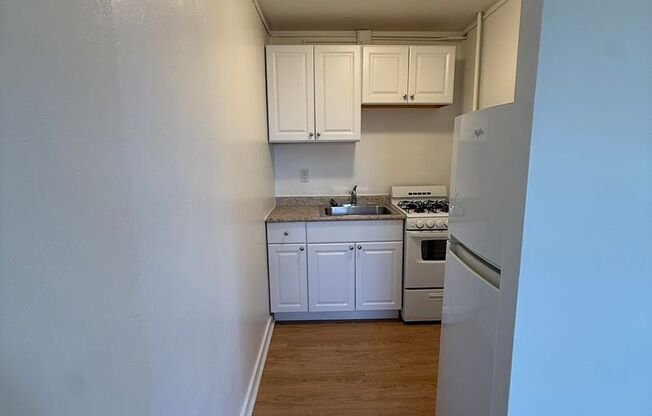 Studio, 1 bath, 487 sqft, $1,250, Unit Fifth 102
