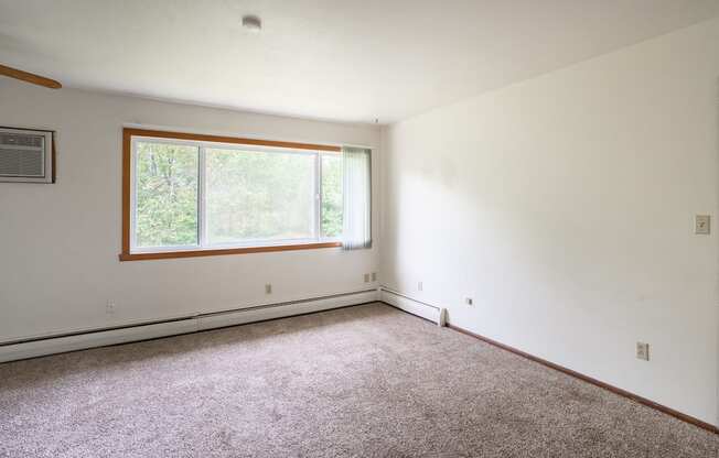 an empty room with carpet and a window. Fargo, ND Luxford Apartments