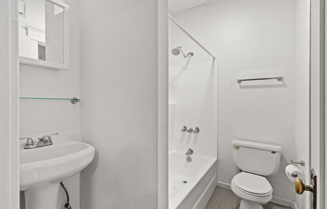 Studio, 1 bath, 322 sqft, $1,495, Unit 205