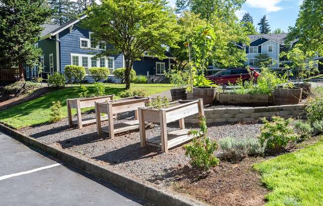 Stillwater community garden, Hillsboro, Oregon, 97124