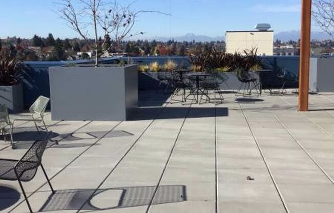 Studio, 1 bath, 278 sqft, $1,475, Unit 201